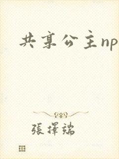 共享公主npc