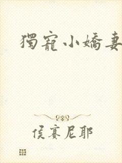 独宠小娇妻