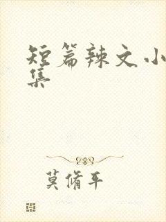 短篇辣文小说合集