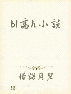 bl高h小说