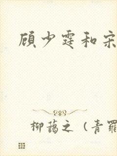 顾少霆和宋斯曼