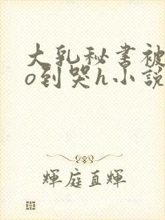 大乳秘书被cao到哭h小说