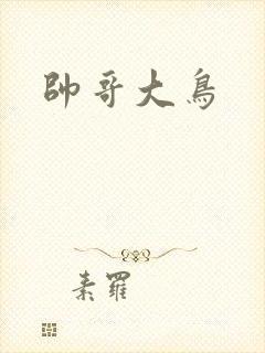 帅哥大鸟