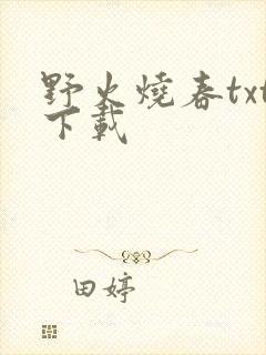 野火烧春txt下载
