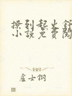 撩到起火舒漾的小说免费阅读全文