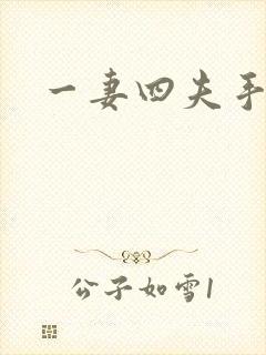 一妻四夫手记