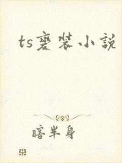 ts变装小说