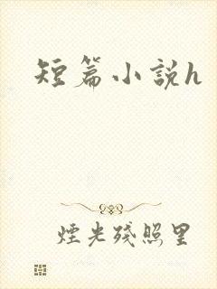 短篇小说h