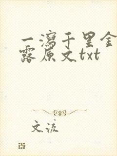 一泻千里金银花露原文txt