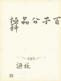 极品公子百度百科