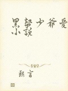 黑帮少爷爱上我小说