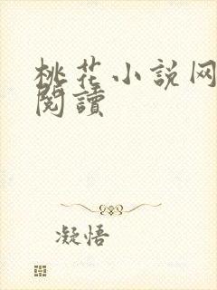 桃花小说网小说阅读