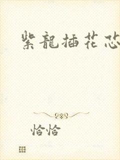 紫龙插花芯方正