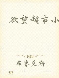 欲望超市小说