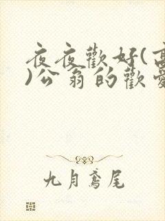 夜夜欢好(高h)公翁的欢爱