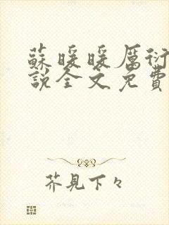 苏暖暖厉衍琛小说全文免费阅读