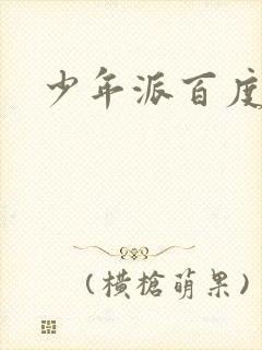 少年派百度百科