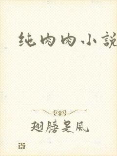 纯肉肉小说