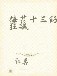梅花十三的乳液狂飙