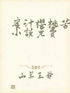 蜜汁樱桃苦咖啡小说免费