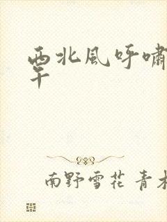 西北风呼啸的中午