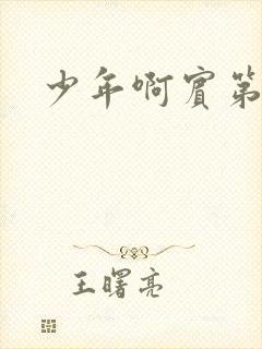 少年啊宾第二部