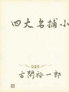 四大名捕小说