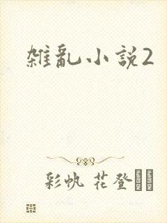 杂乱小说2