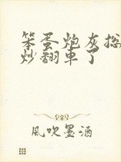 笨蛋炮灰总被爆炒翻车了