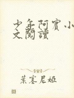 少年阿宾小说全文阅读