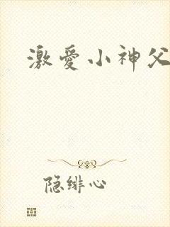 激爱小神父