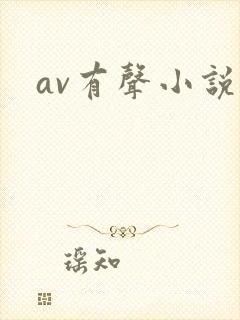 av有声小说