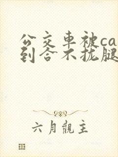 公交车被cao到合不拢腿视频