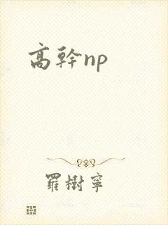 高干np