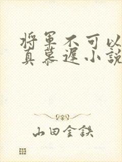 将军不可以魏云真慕迟小说笔趣阁