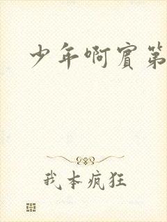 少年啊宾第二部