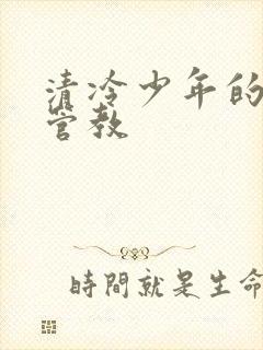 清冷少年的严厉管教