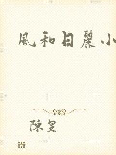 风和日丽小说