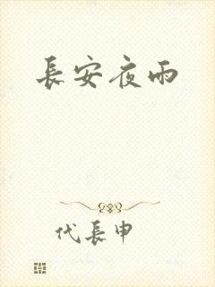 长安夜雨