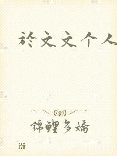 于文文个人简历