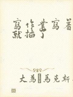 写作业写着写着就插了