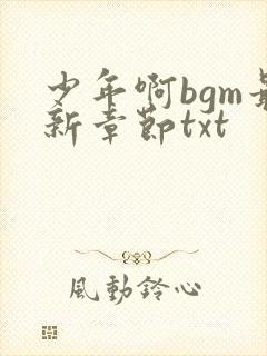 少年啊bgm最新章节txt