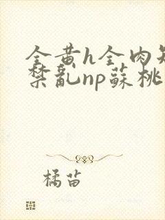 全黄h全肉短篇禁乱np苏桃