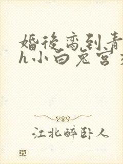 婚后脔到青梅哭h小白兔宫交h