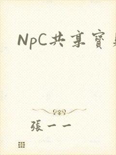 NpC共享宝贝