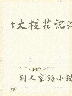t大校花沉沦