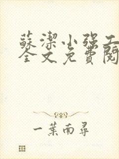 苏洁小强工地情全文免费阅读