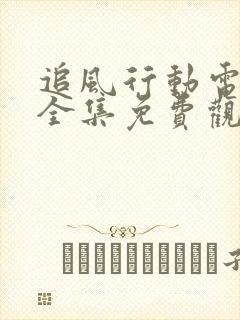 追风行动电视剧全集免费观看