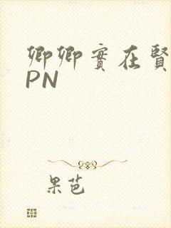 卿卿实在贤良NPN