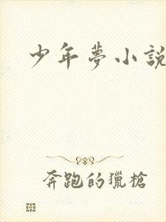 少年梦小说